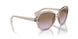 299068 - Transparent Light Brown - Violet gradient brown
