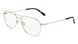 Flexon H6065 N Eyeglasses