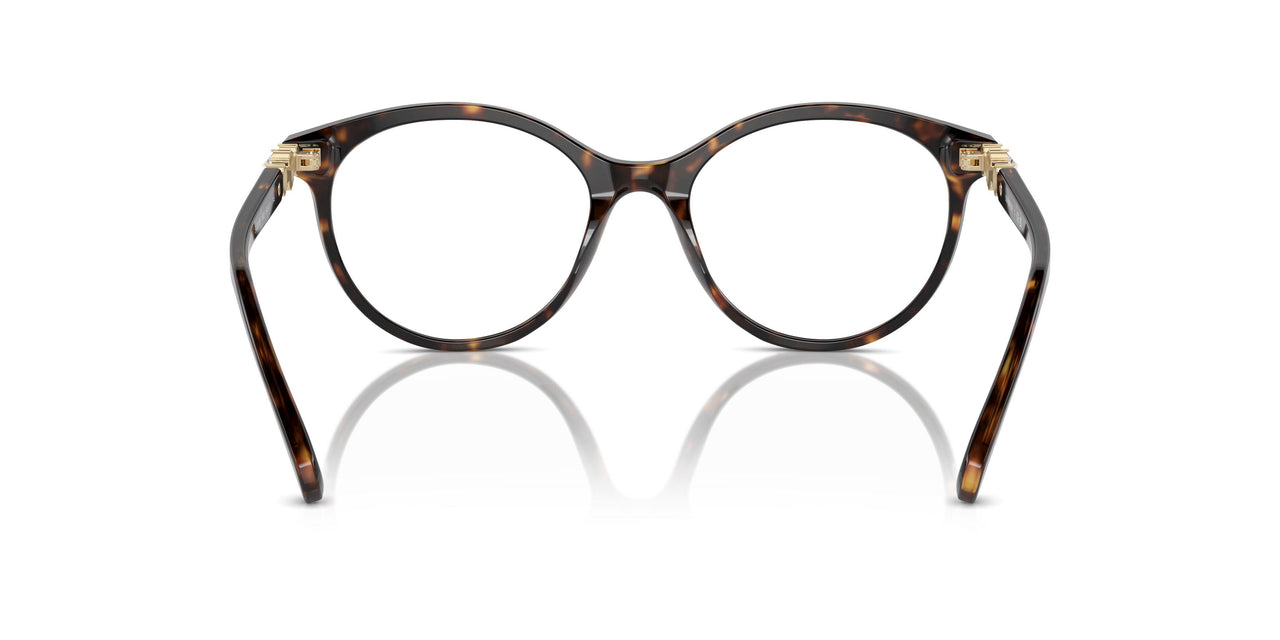 1002 - Brown