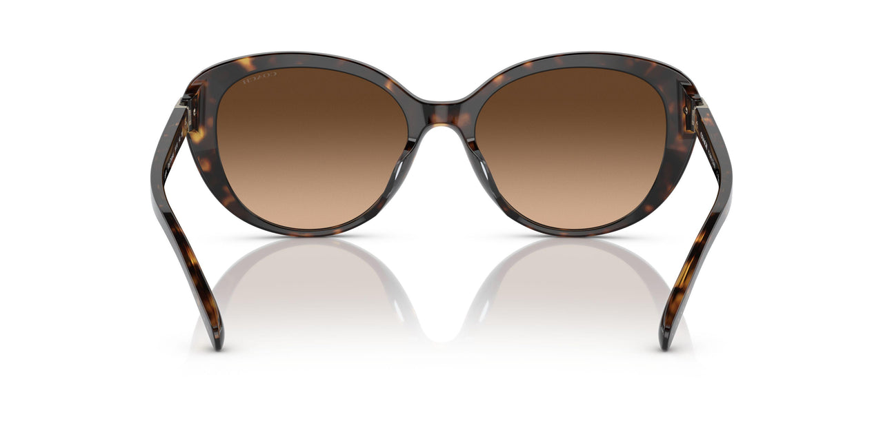 512074 - Havana - Brown Gradient