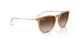 681413 - Brown - Gradient Brown
