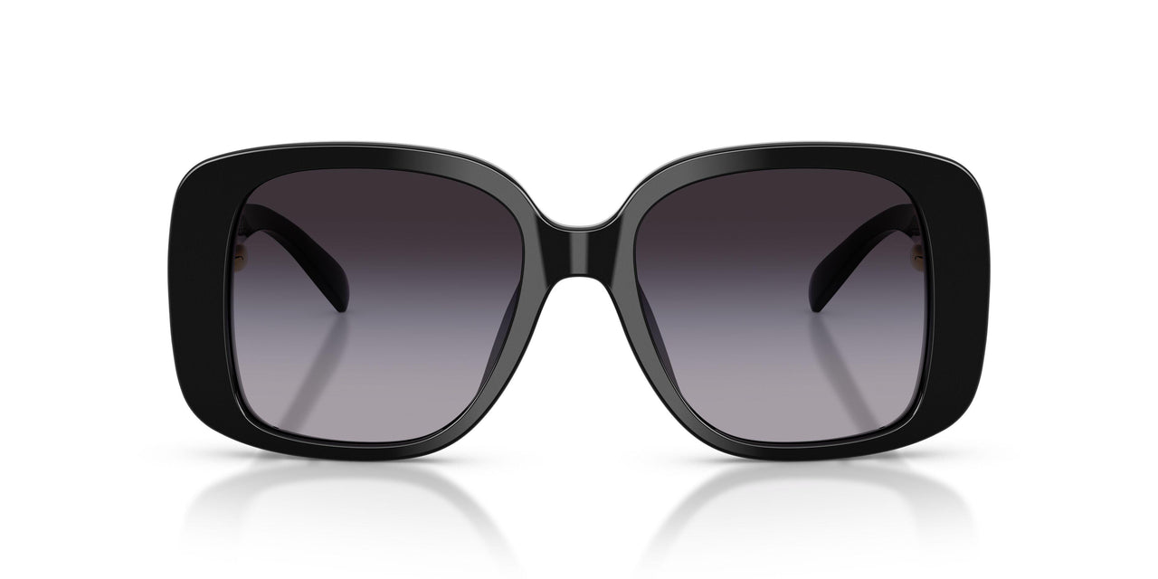 17098G - Black - Light Grey Gradient Dark Grey