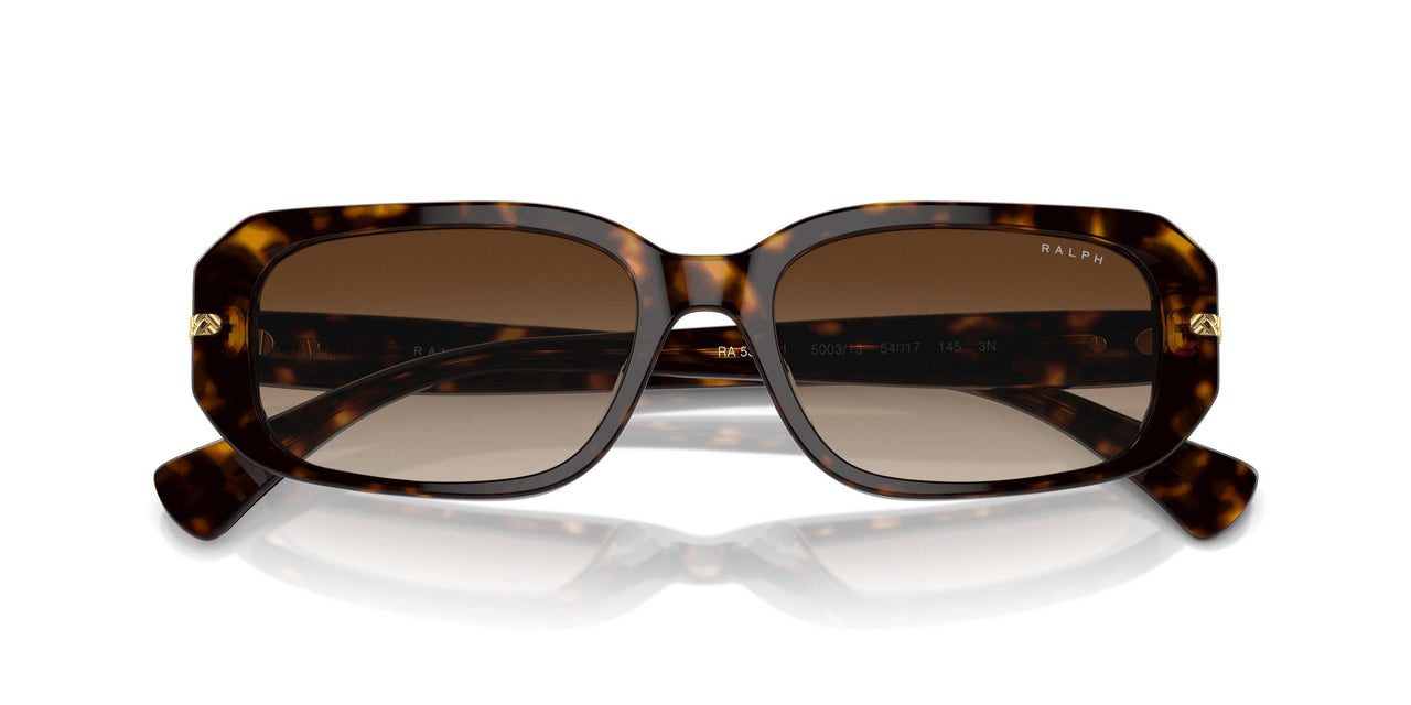 500313 - Brown - Gradient Brown