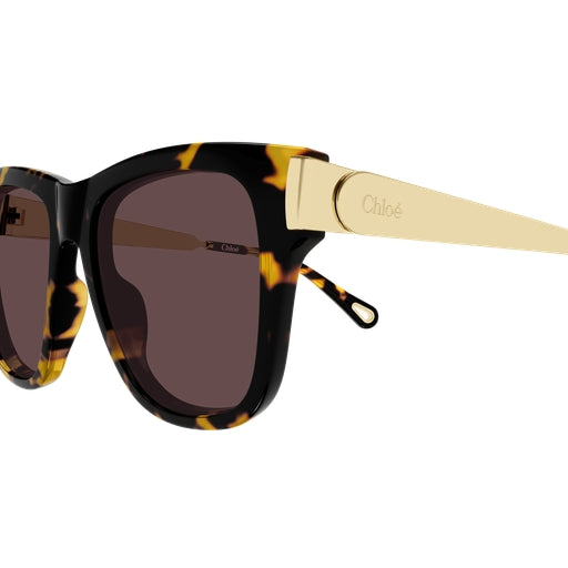 003 - Havana/Gold - Violet
