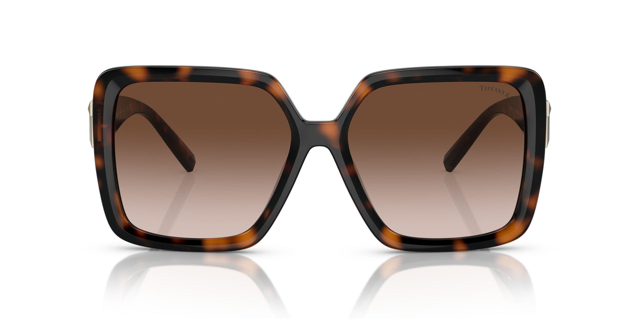 80153B - Tortoise - Brown Gradient