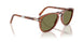 96/P1 - Brown - Polar Green