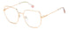 0DDB-00 - GOLD COPP