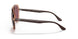 66025Q - Brown - Purple Polar