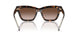 172813 - Tortoise - Brown Gradient