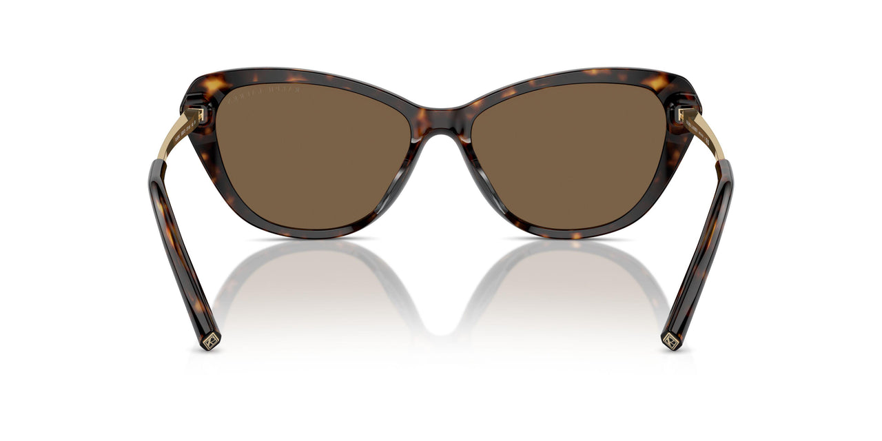 500373 - Brown - Brown
