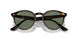 710/M1 - Havana - Photo Clear To Grey/green Quar