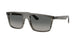 Ray-Ban 2222F Sunglasses