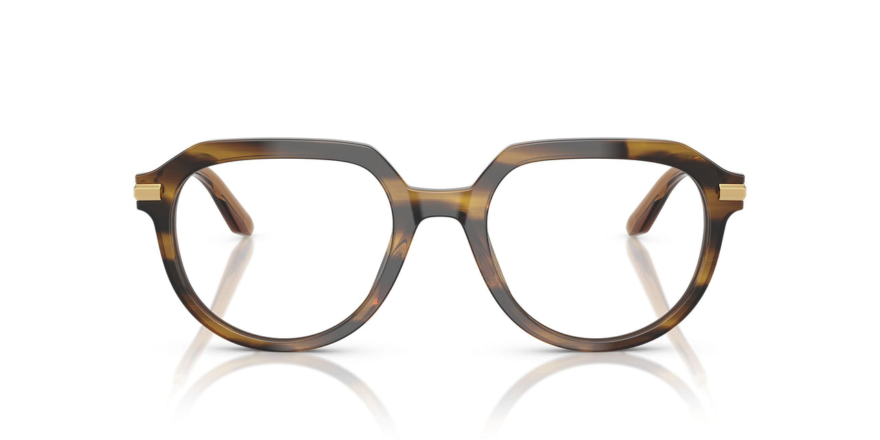3446 - Brown