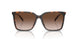 300613 - Tortoise - Brown Gradient