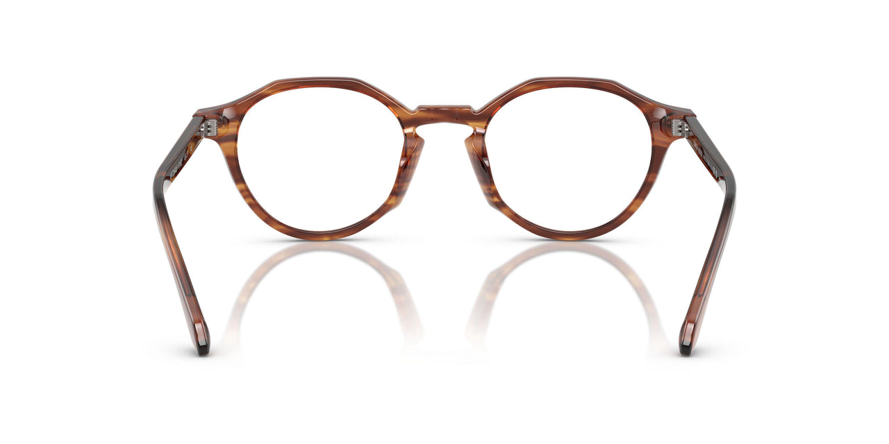 6162 - Tortoise