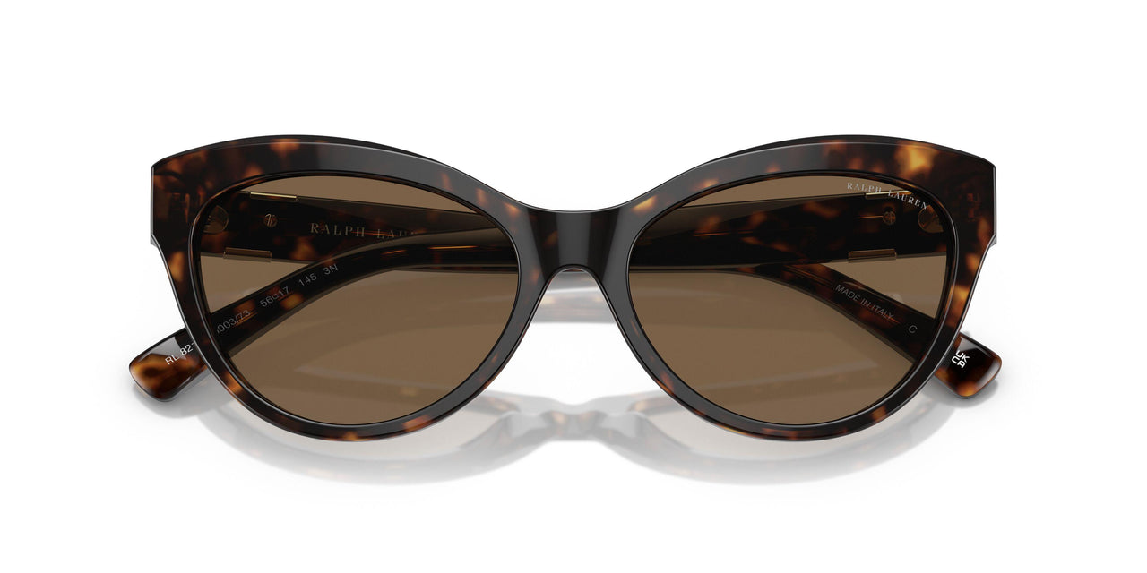 500373 - Tortoise - Brown