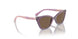 306473 - Transparent Violet - Dark Brown