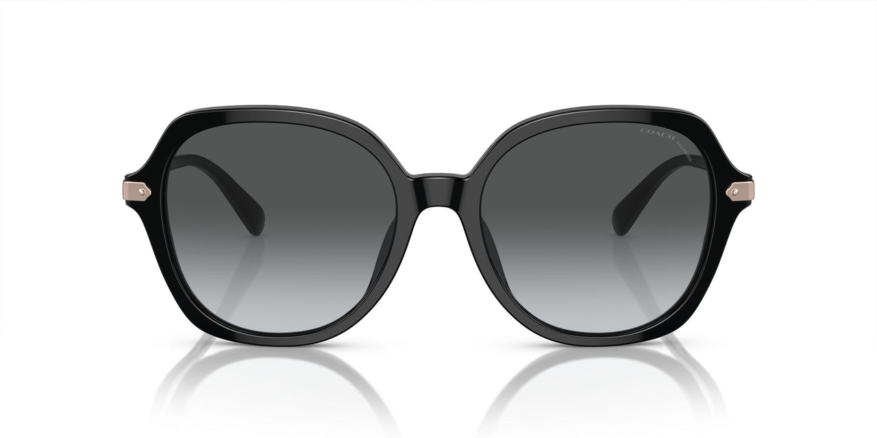 5002T3 - Black - Grey Gradient Polar