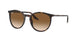 Ray-Ban 2204 Sunglasses