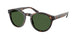 Polo 4192 Sunglasses