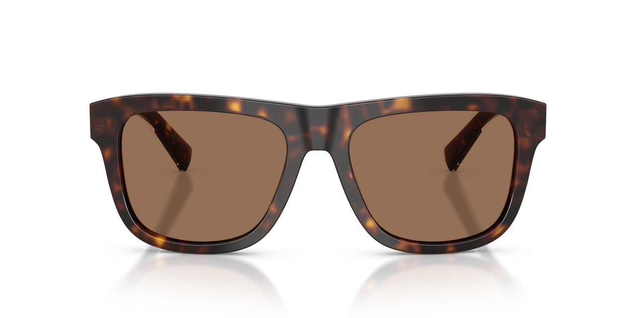 502/73 - Tortoise - Dark Brown