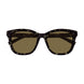 003 - Havana - Brown
