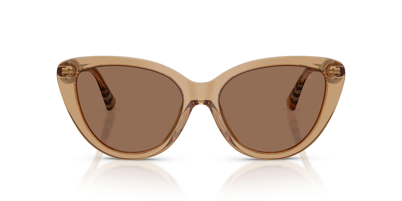 416473 - Beige - Dark Brown