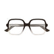 006 - Brown - Transparent