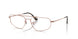 Ray-Ban 6550 Eyeglasses