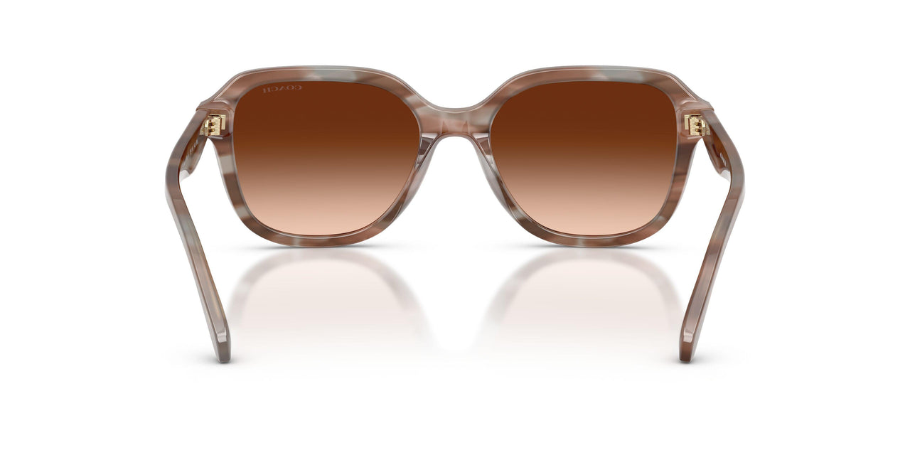 590174 - Brown - Brown Gradient