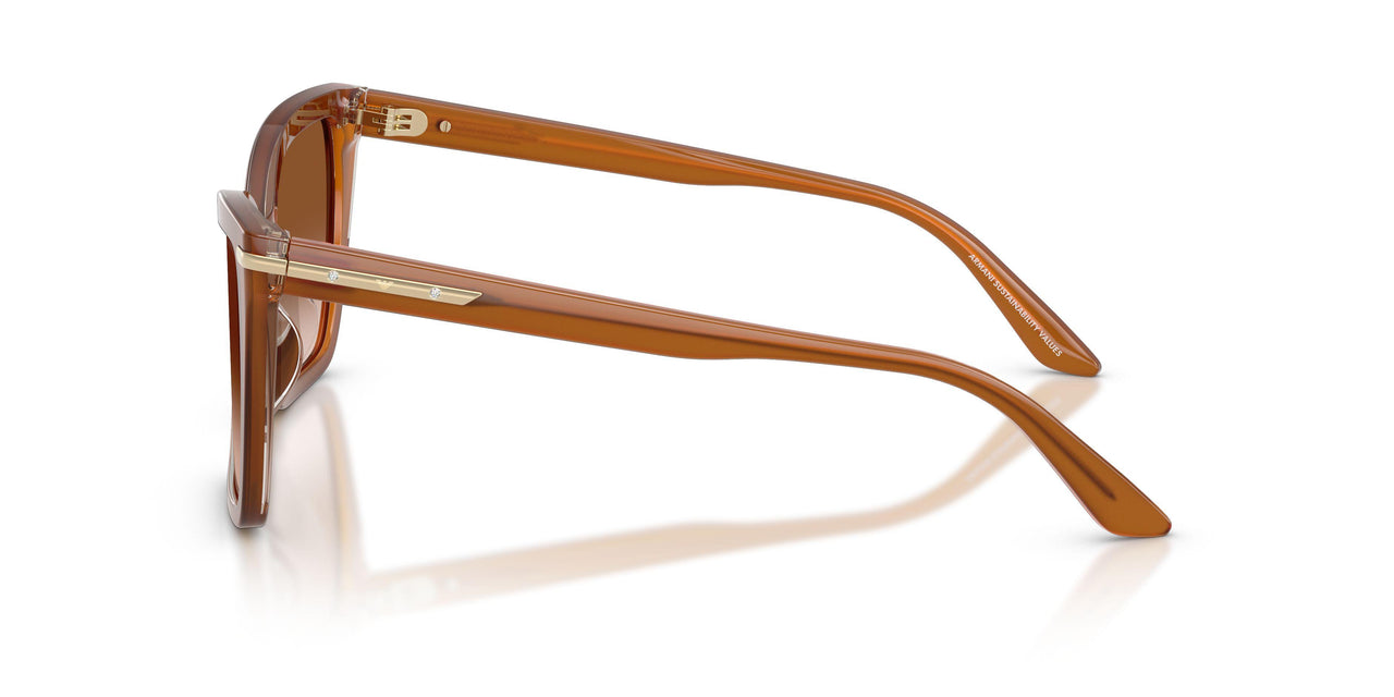 637613 - Brown - Brown Gradient