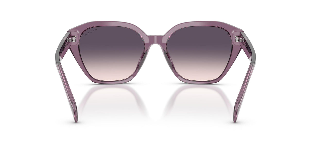 620736 - Violet - Gradient Violet