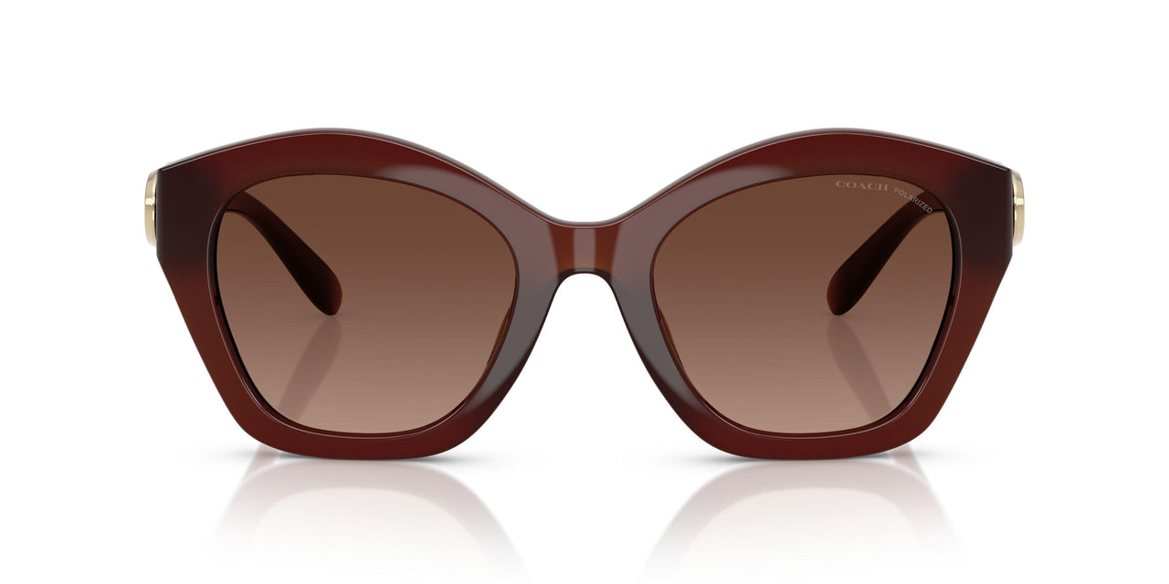 5841T5 - Brown - Brown Gradient Polar