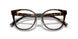 8015 - Tortoise