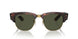 990/31 - Tortoise - Green