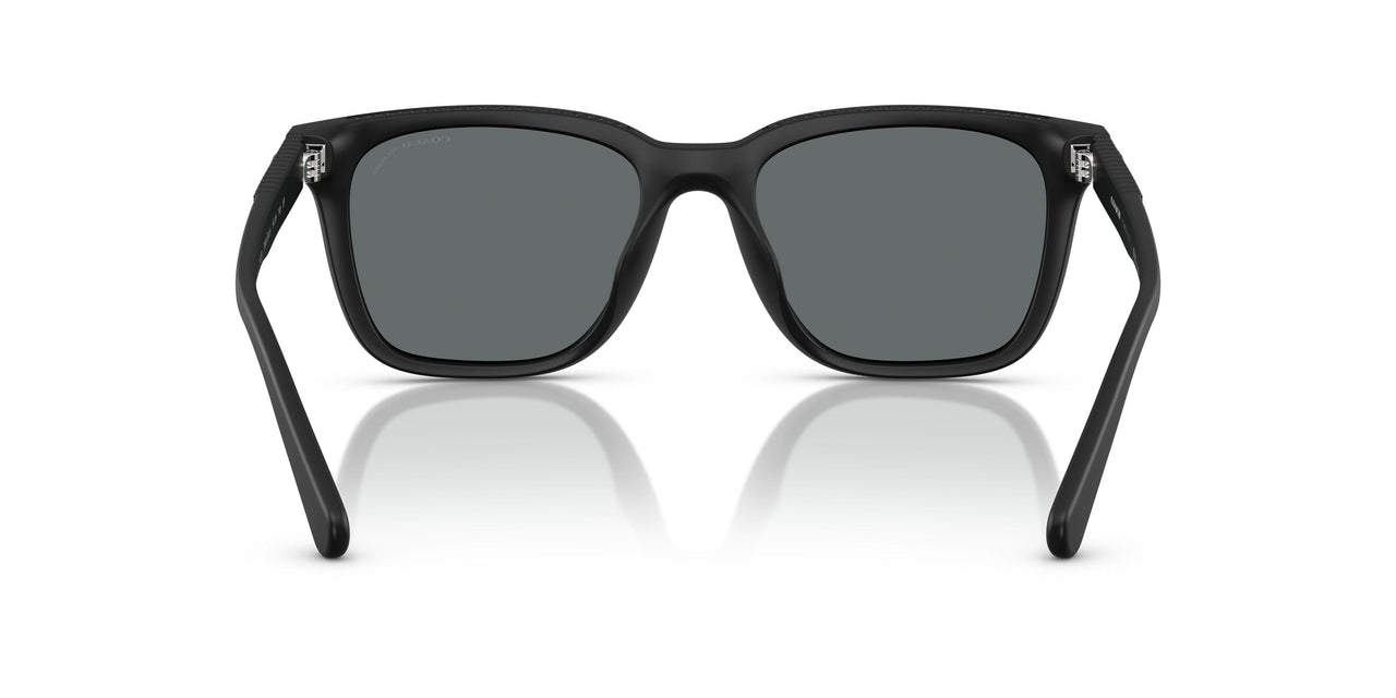 500281 - Black - Grey Solid Polar