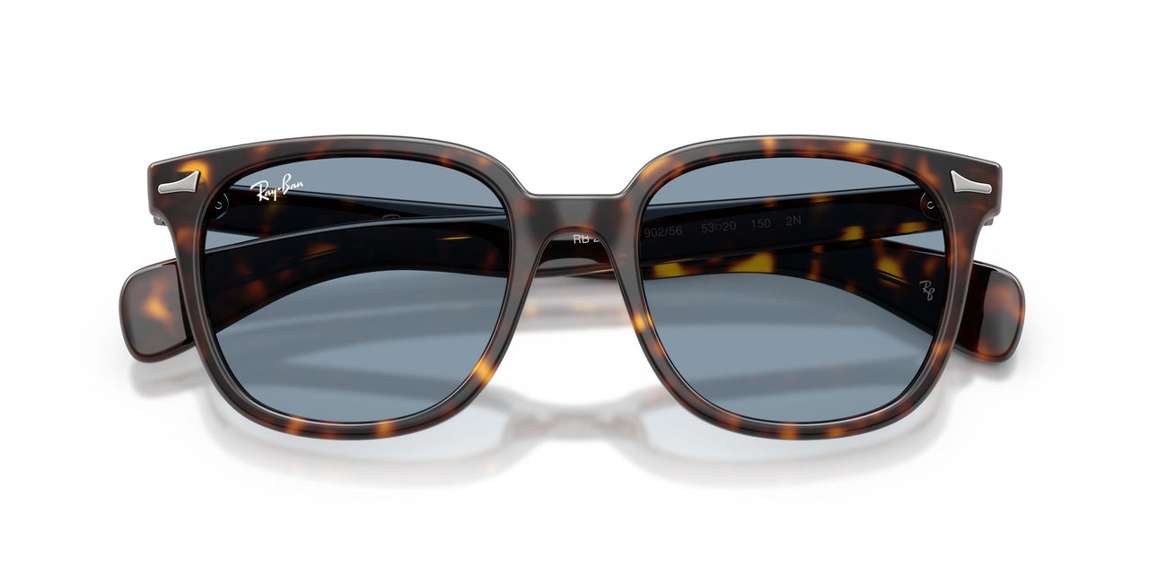 902/56 - Tortoise - Blue