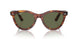 954/58 - Brown - Green
