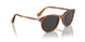96/48 - Brown - Polar Black