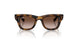152/13 - Tortoise - Light Brown Gradient Dark Brow