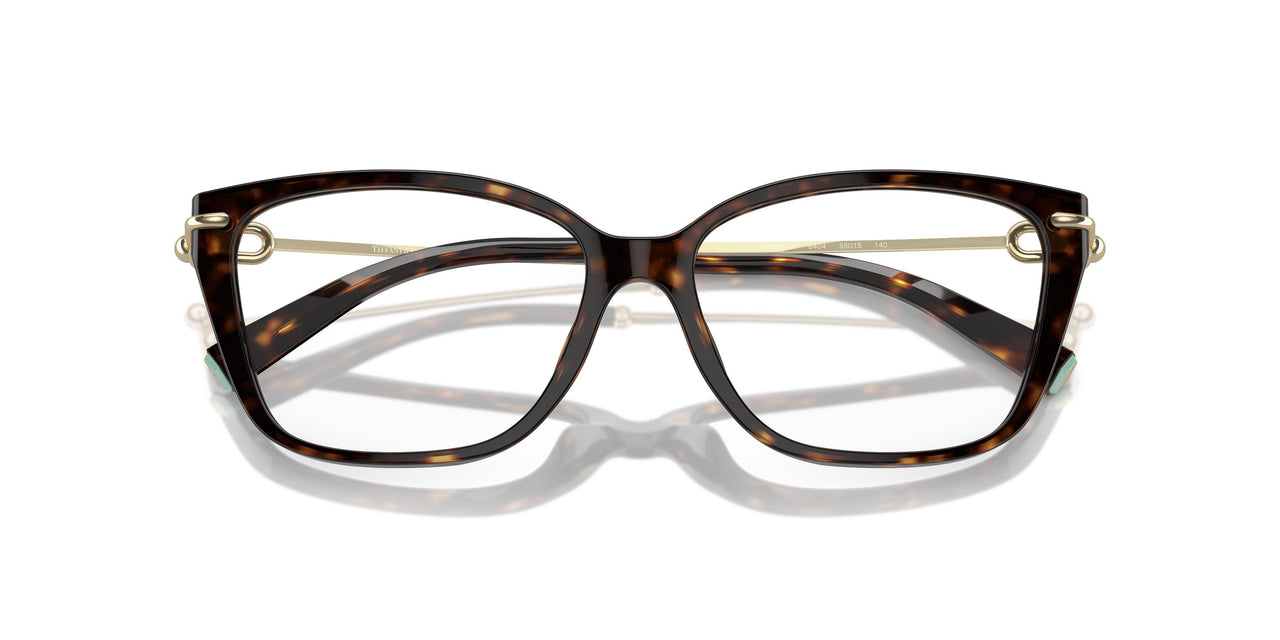 8404 - Tortoise