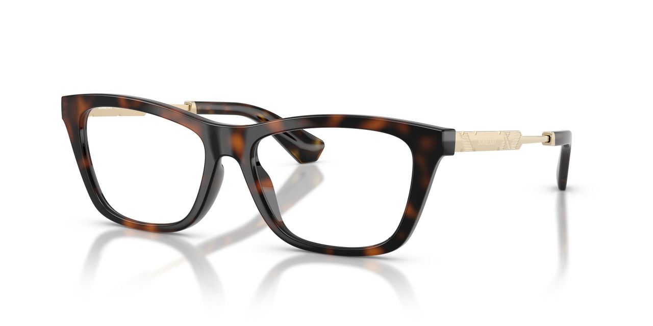 3002 - Brown