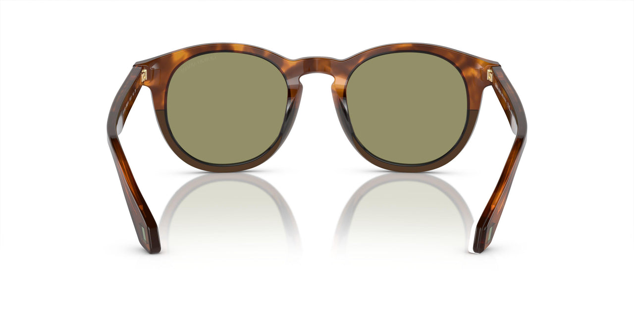 598814 - Brown - Green