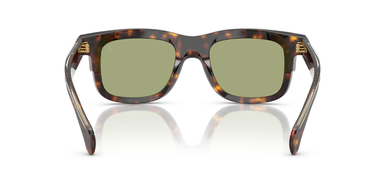 300282 - Tortoise - Green