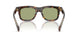 300282 - Tortoise - Green