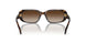 500313 - Brown - Gradient Brown