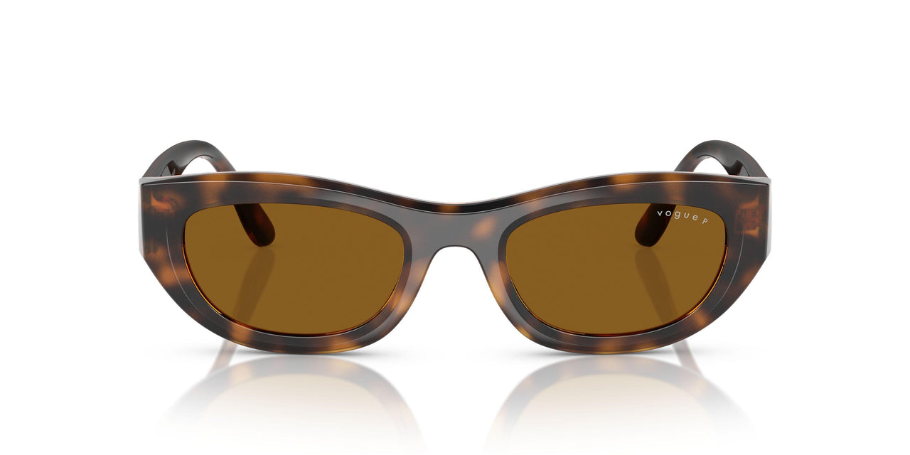 271883 - Brown - Dark Brown Polar