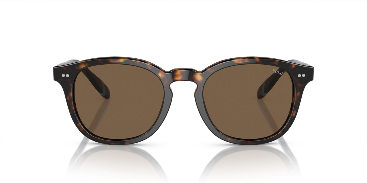 500373 - Brown - Brown