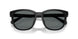 500281 - Black - Grey Solid Polar