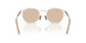 300393 - Clear - Solid Light Brown